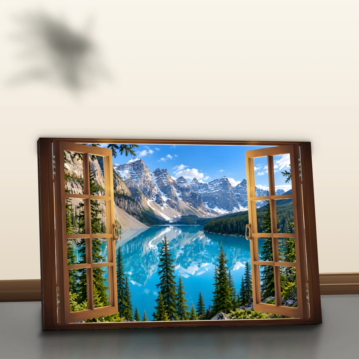 Vista 5