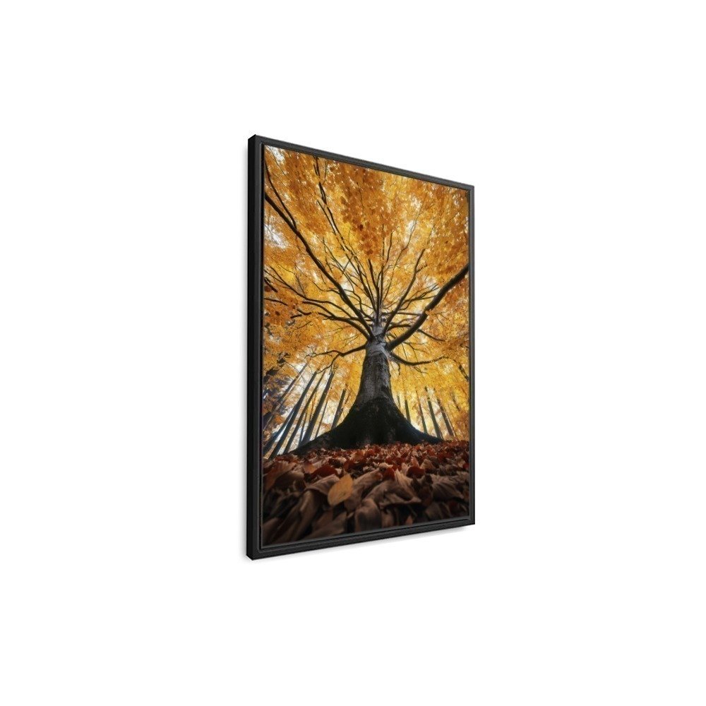 Vista 3