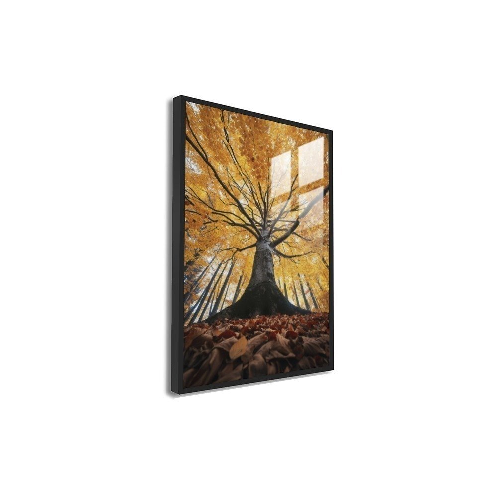 Vista 8