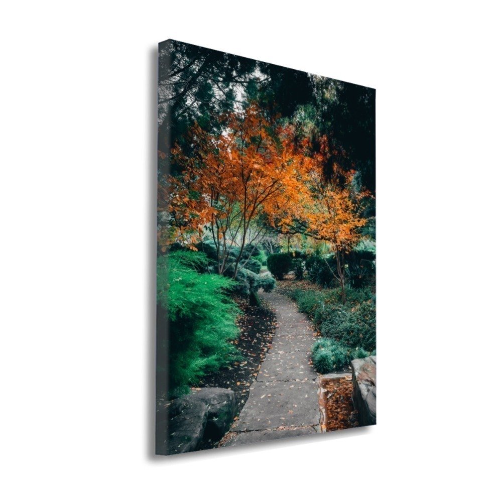 Quadro Caminho De Outono