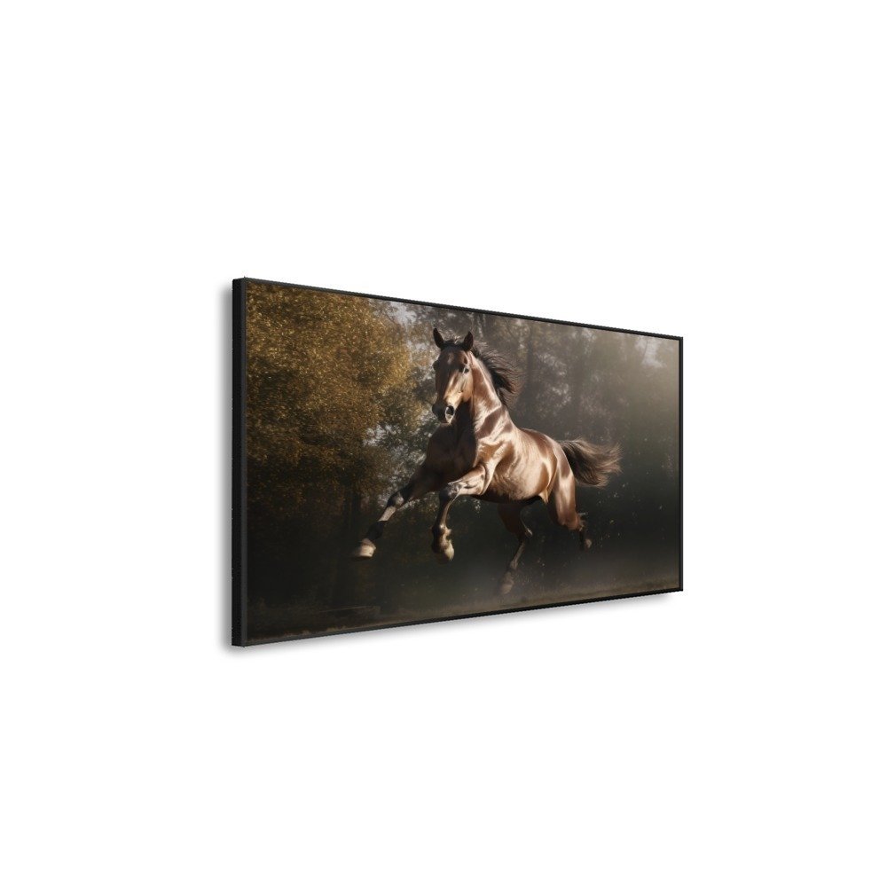 Vista 4