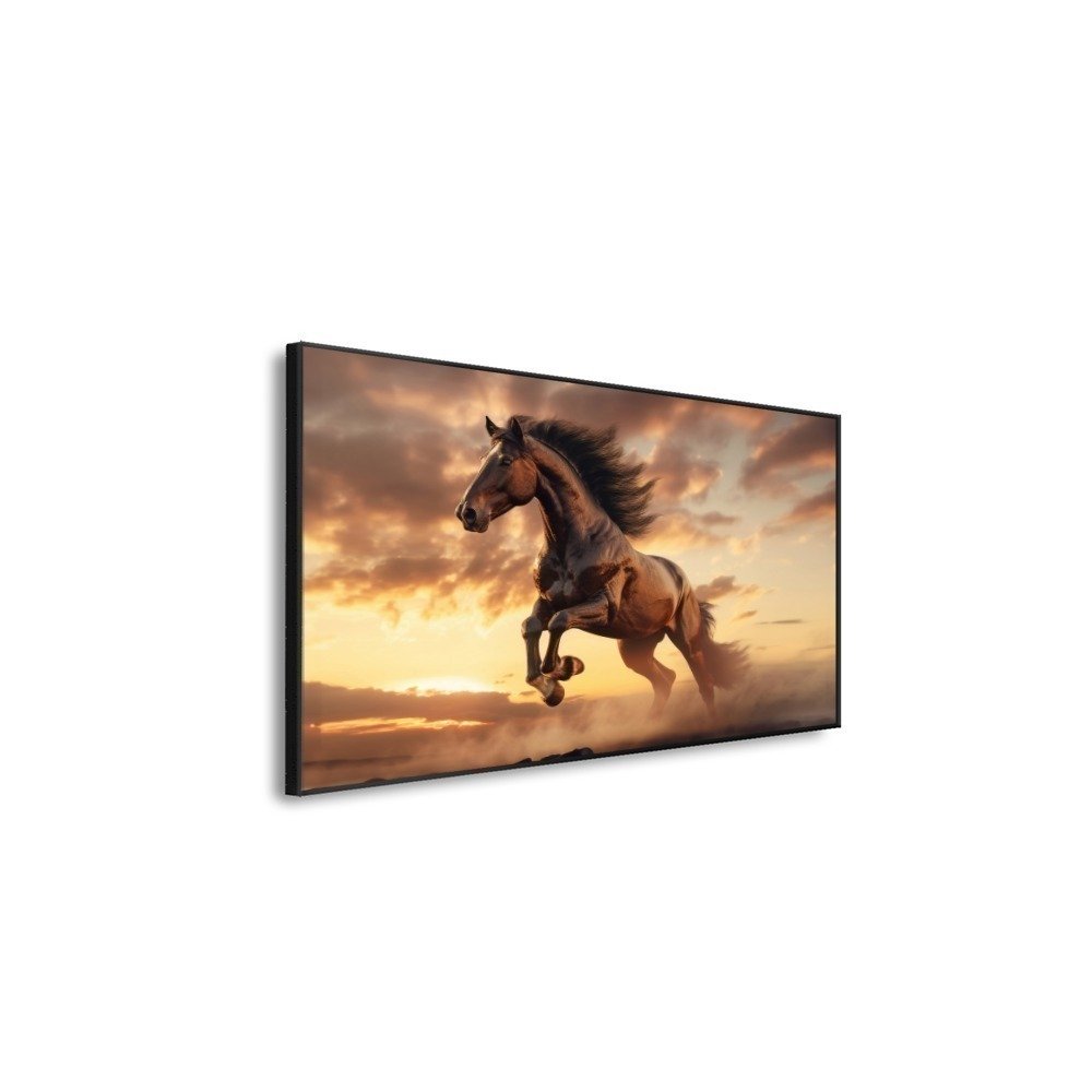 Vista 4