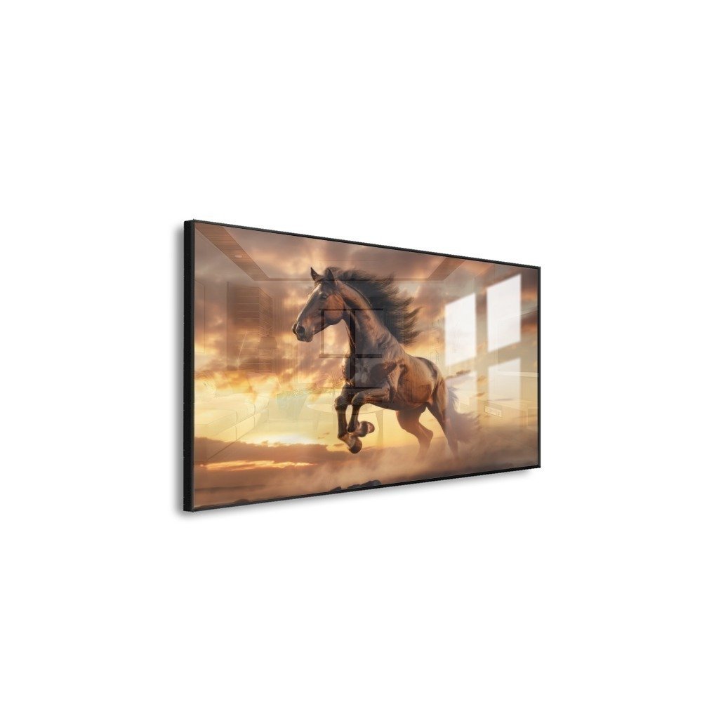 Vista 5