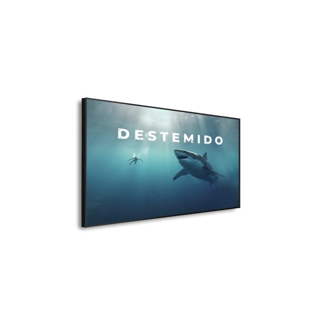 Vista 4
