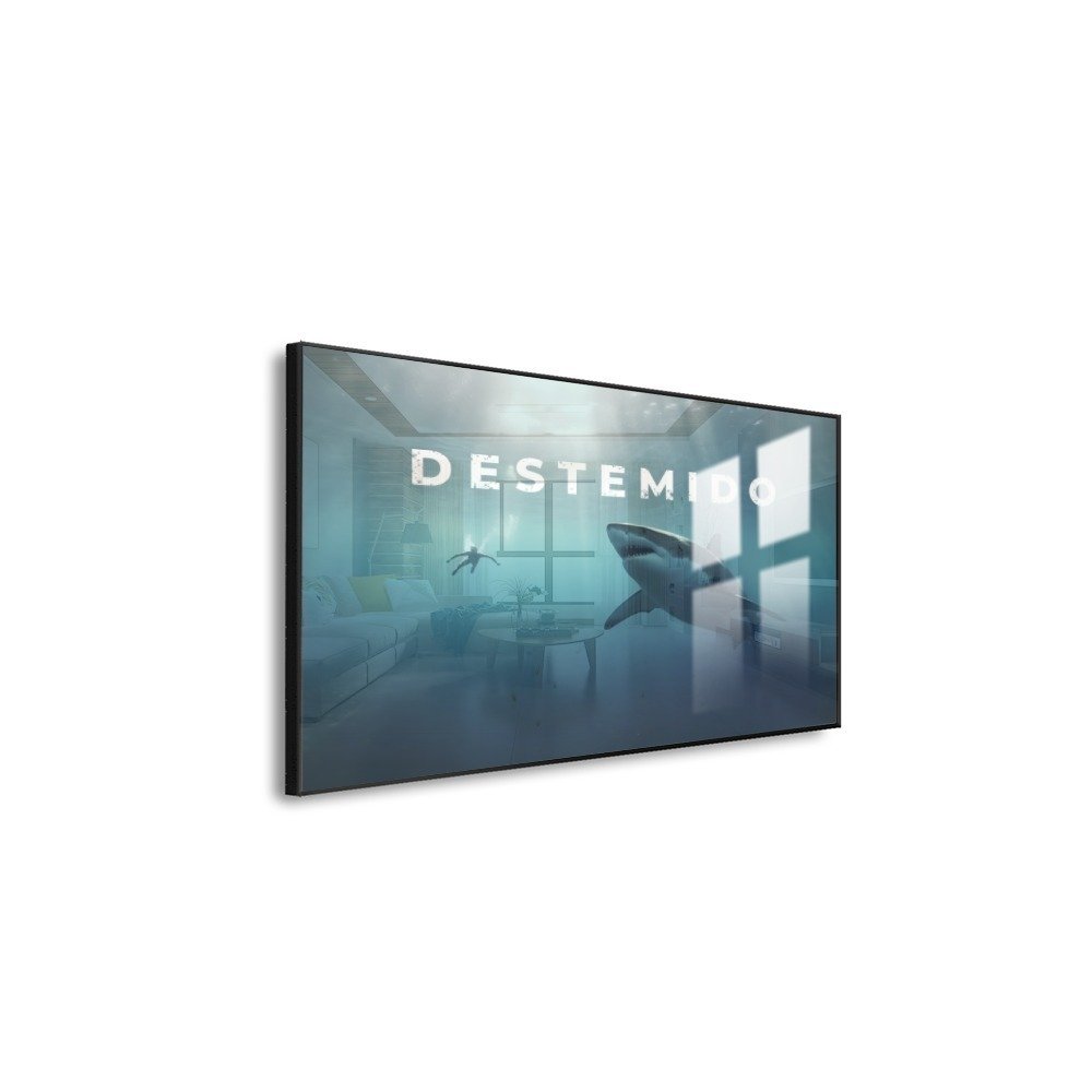 Vista 5