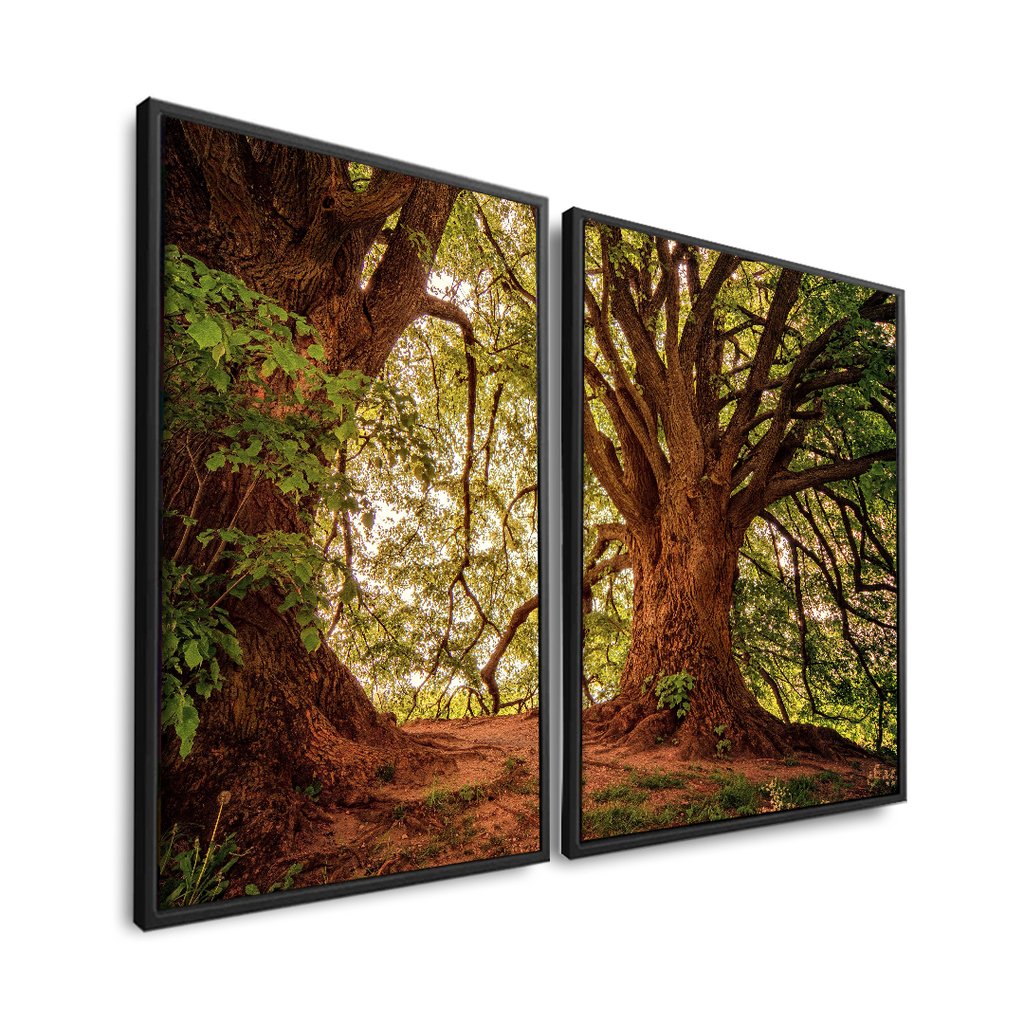 Vista 4