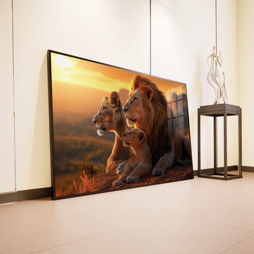 Vista 6