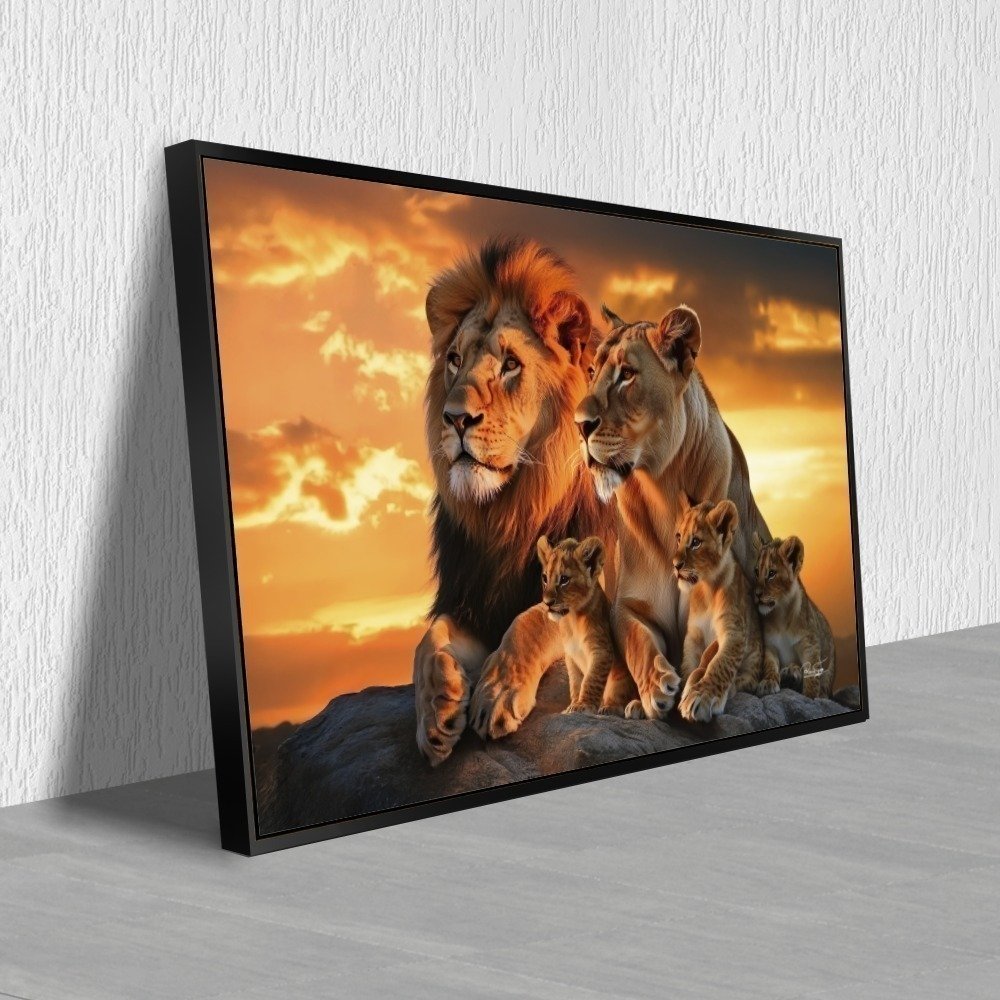 Vista 5
