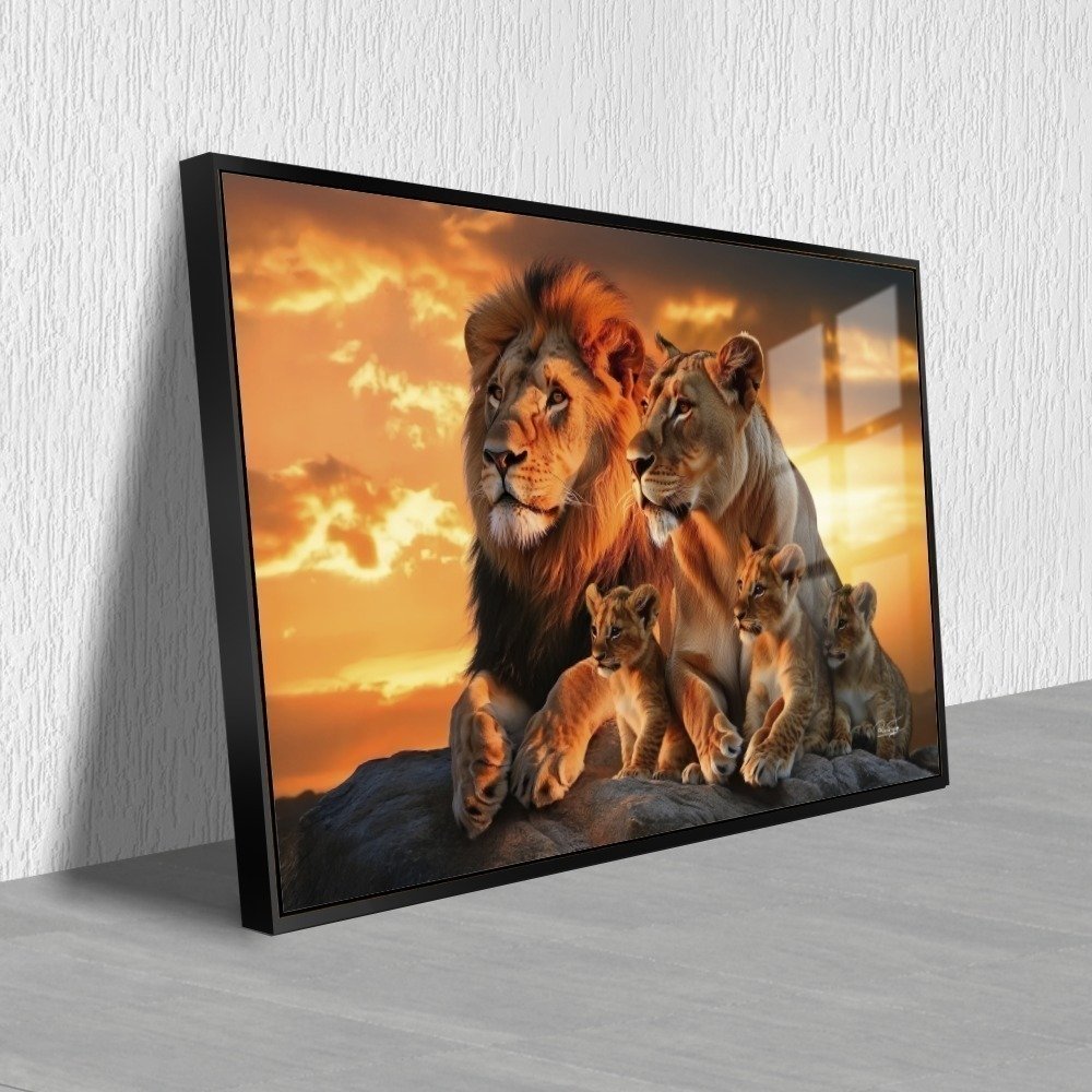 Vista 6