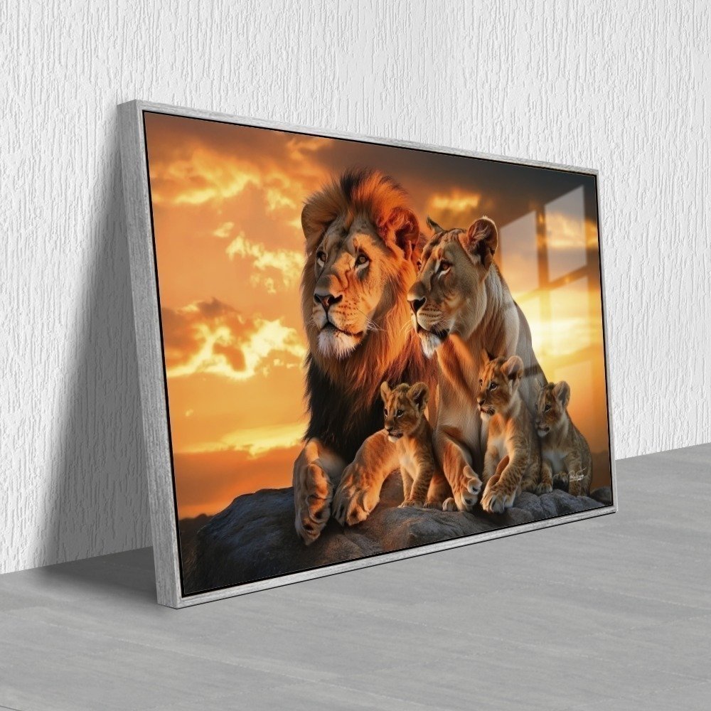 Vista 7