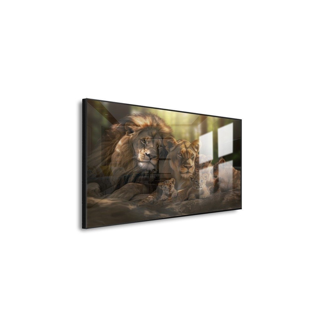 Vista 6