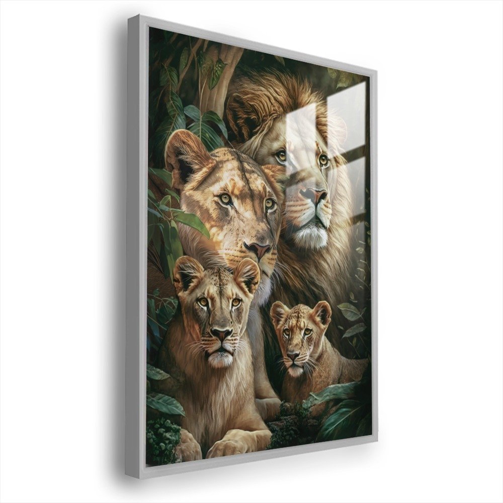 Vista 5