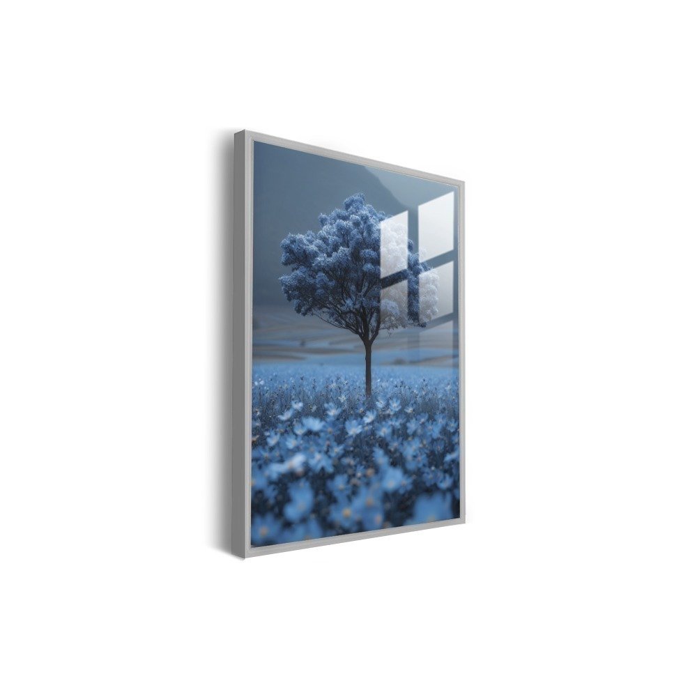 Vista 6