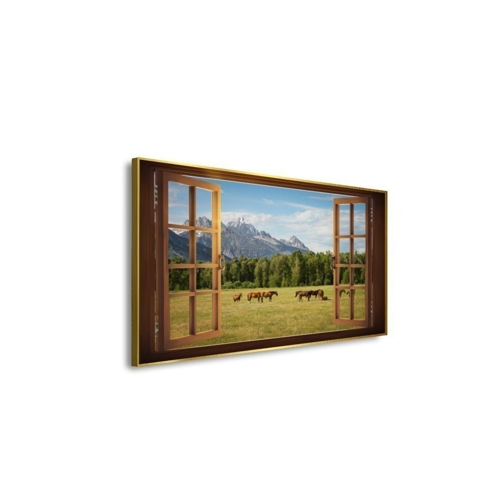 Vista 5