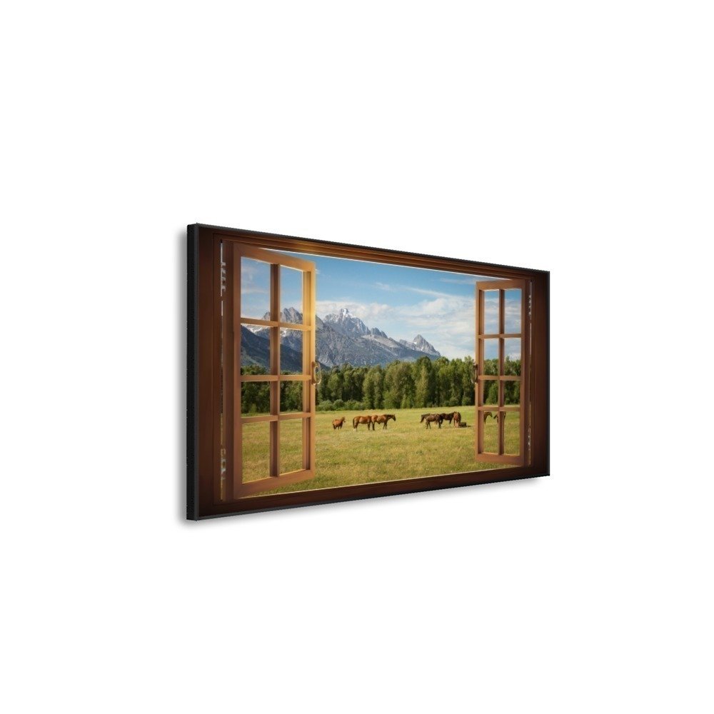 Vista 6