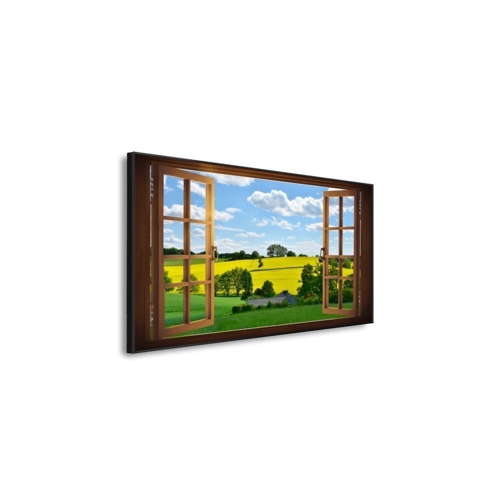 Vista 5