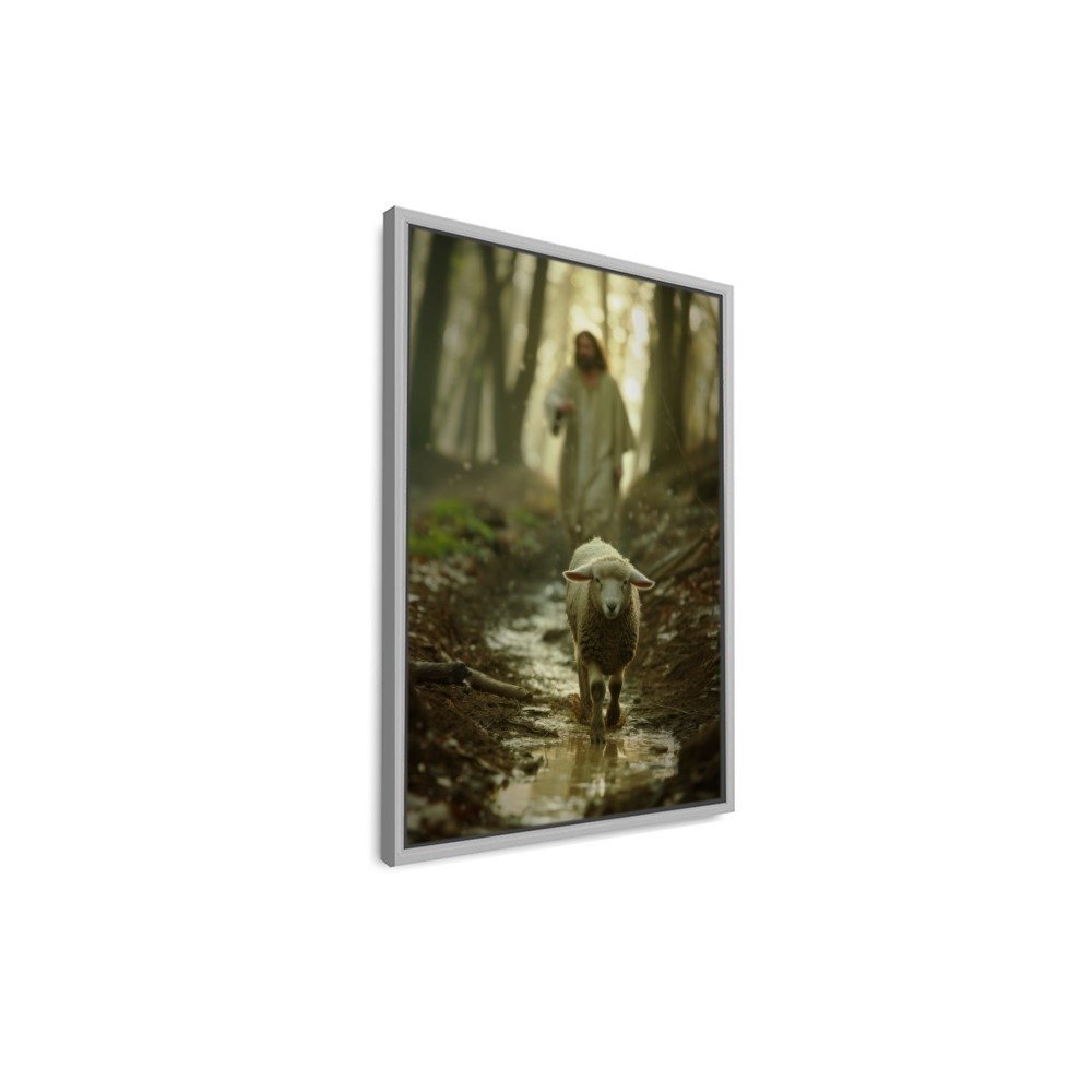 Vista 4