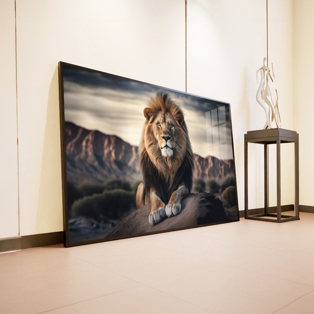 Vista 5