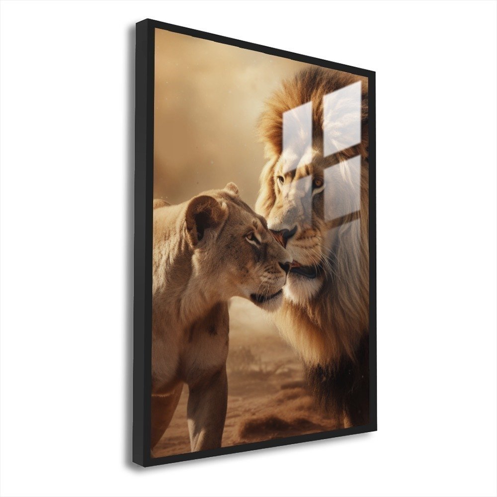 Vista 8