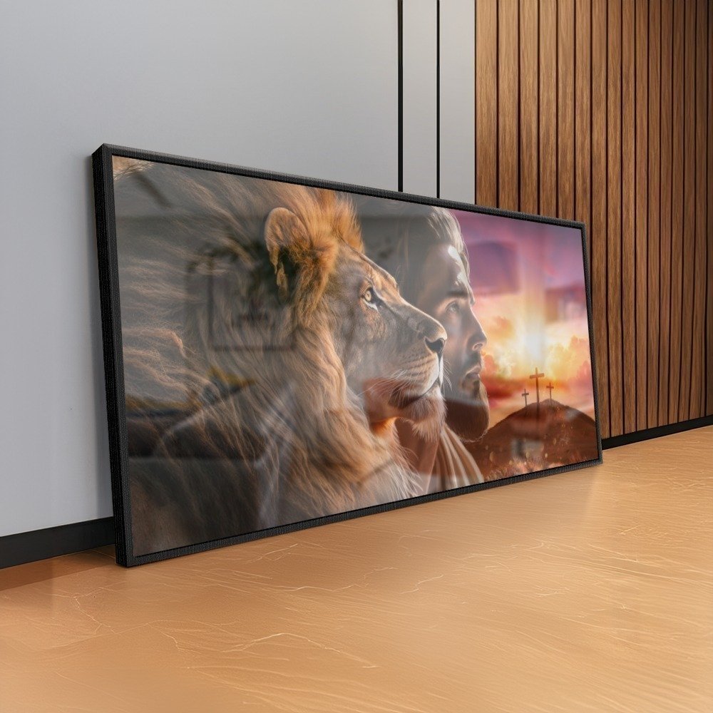 Vista 5