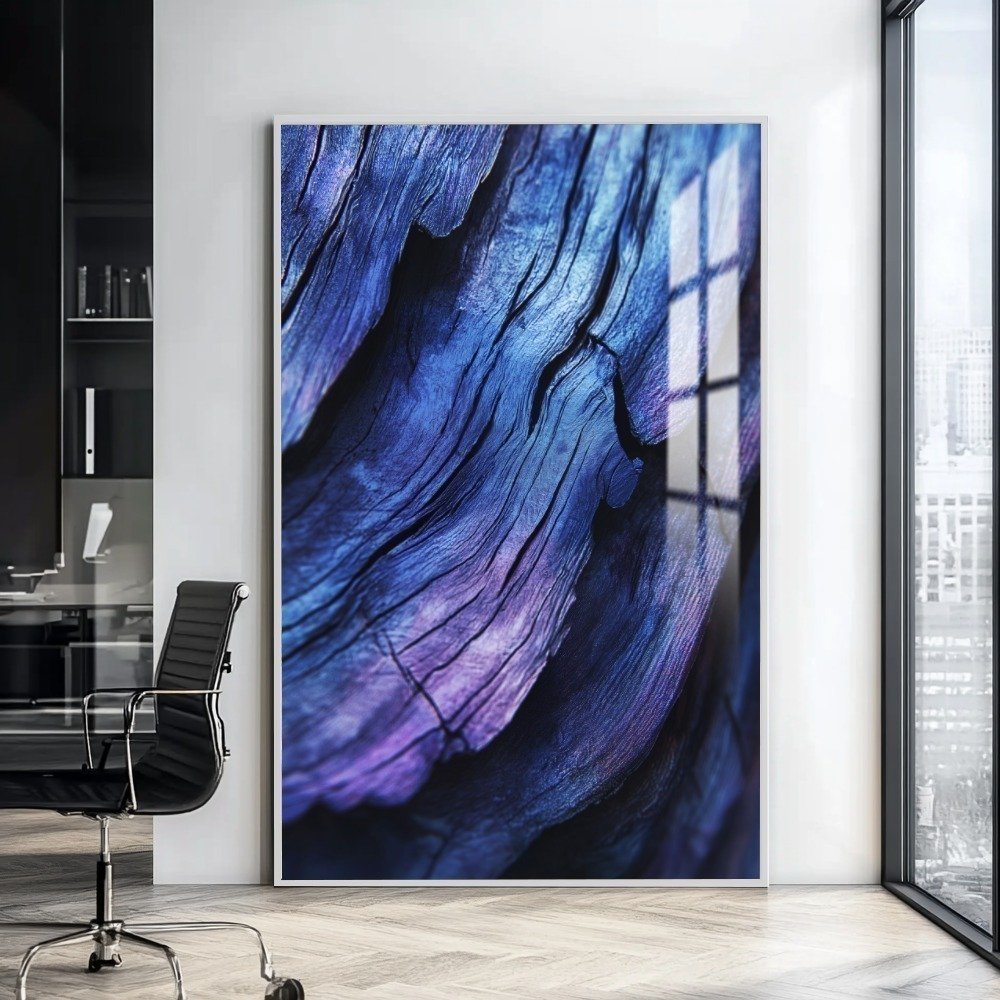 Vista 5