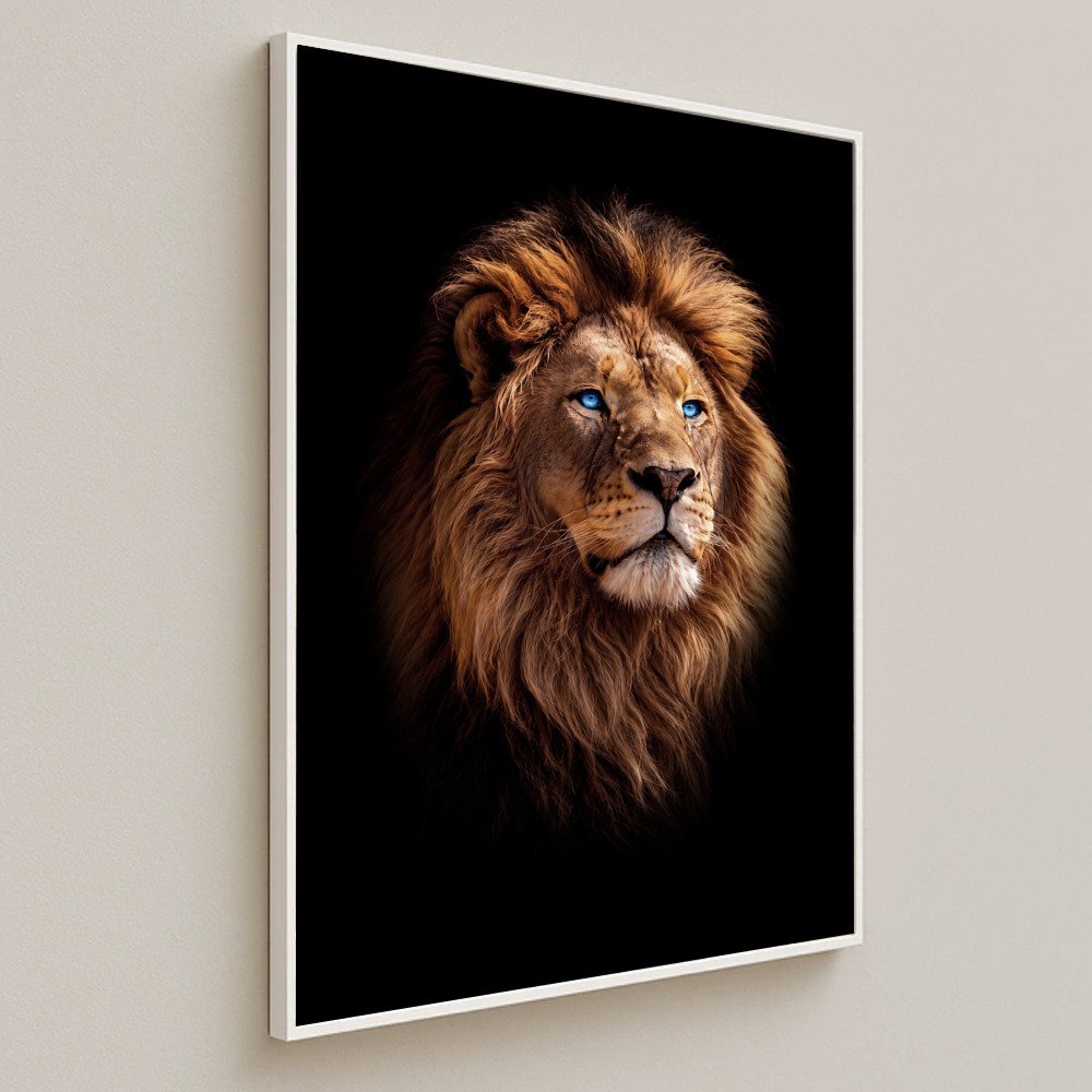 Vista 3